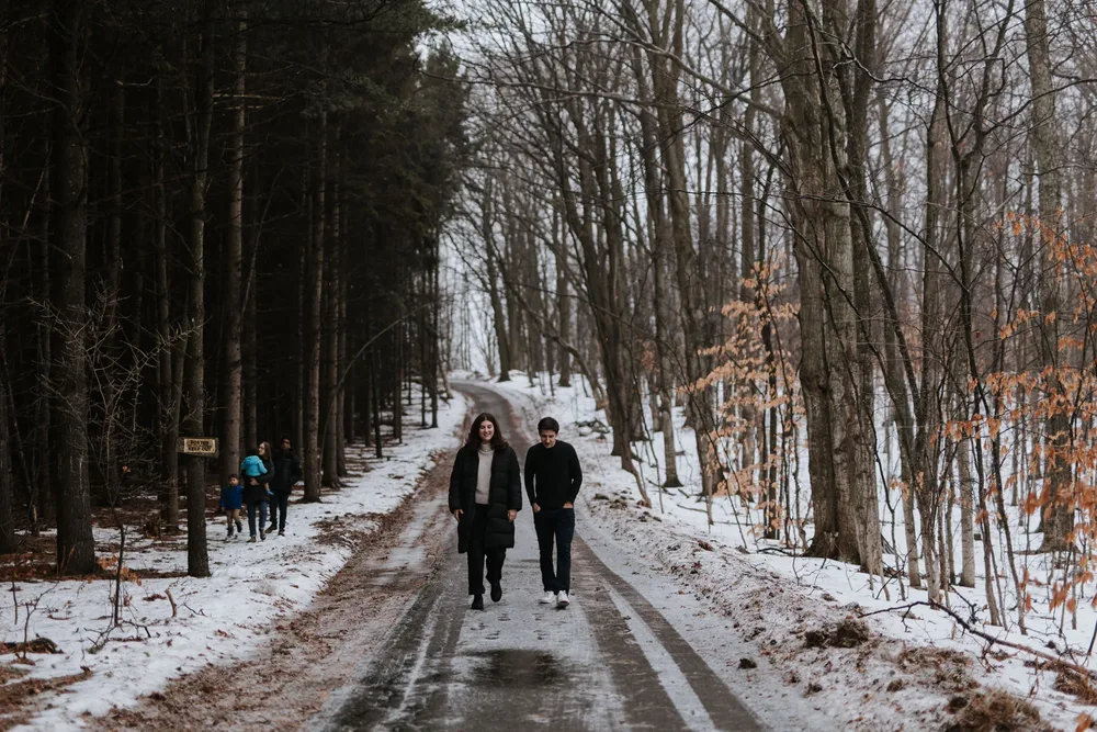 A family walking a snowy road between rows of pines