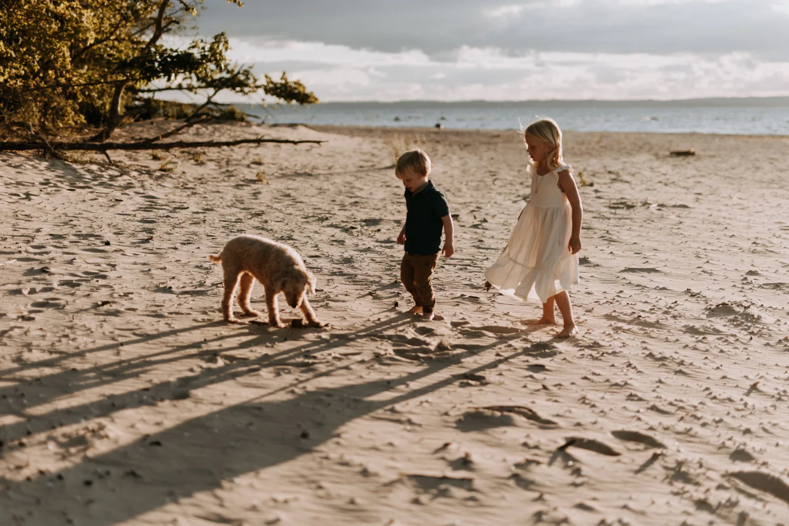 Golden hour light on the Johnson family at Old Mission Peninsula