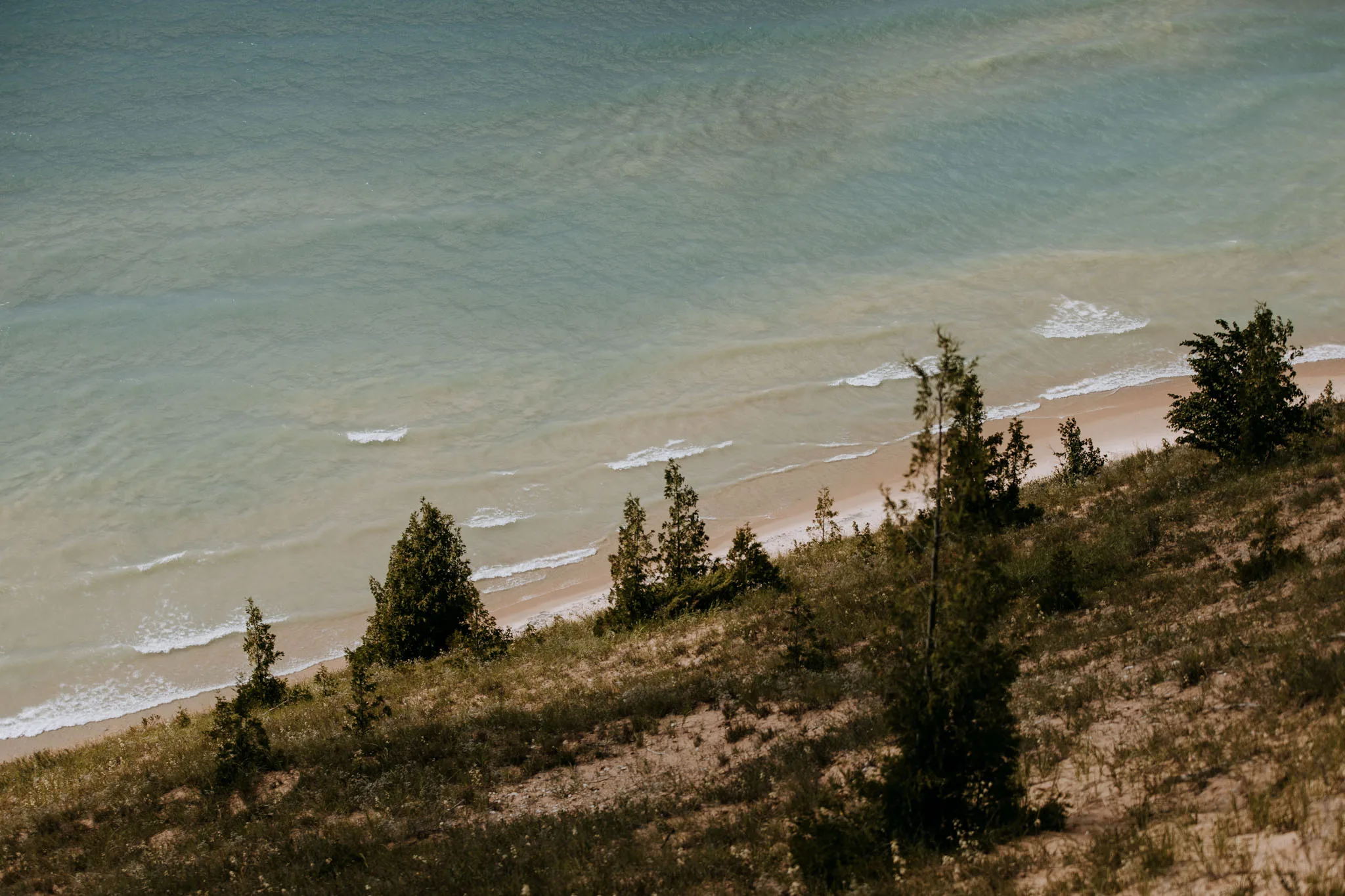 Wedding couple in Northern Michigan wooded setting near Glen Arbor