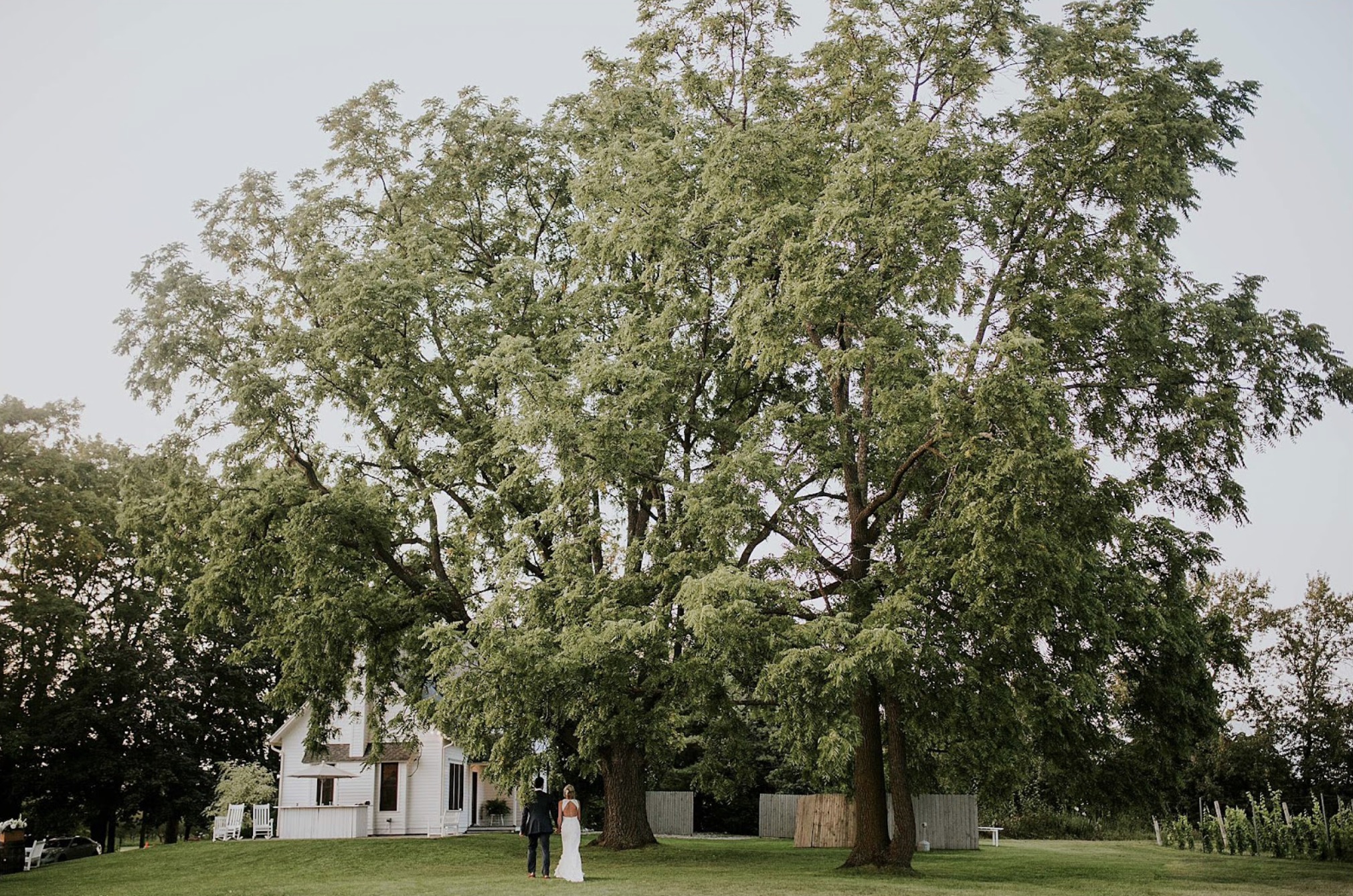Aurora Cellars Farmhouse wide exterior with trees Northern Michigan wedding