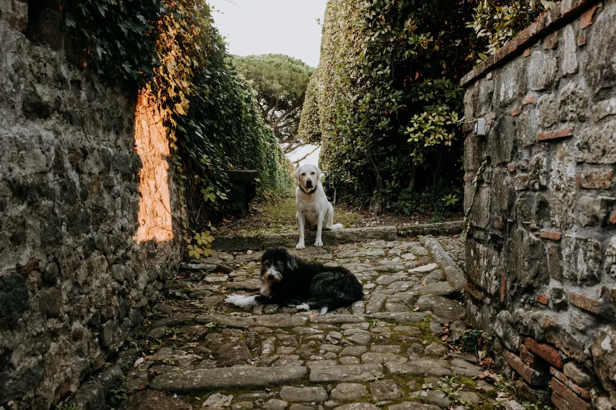 Travel photography in Tuscany by Allen-Kent Photography