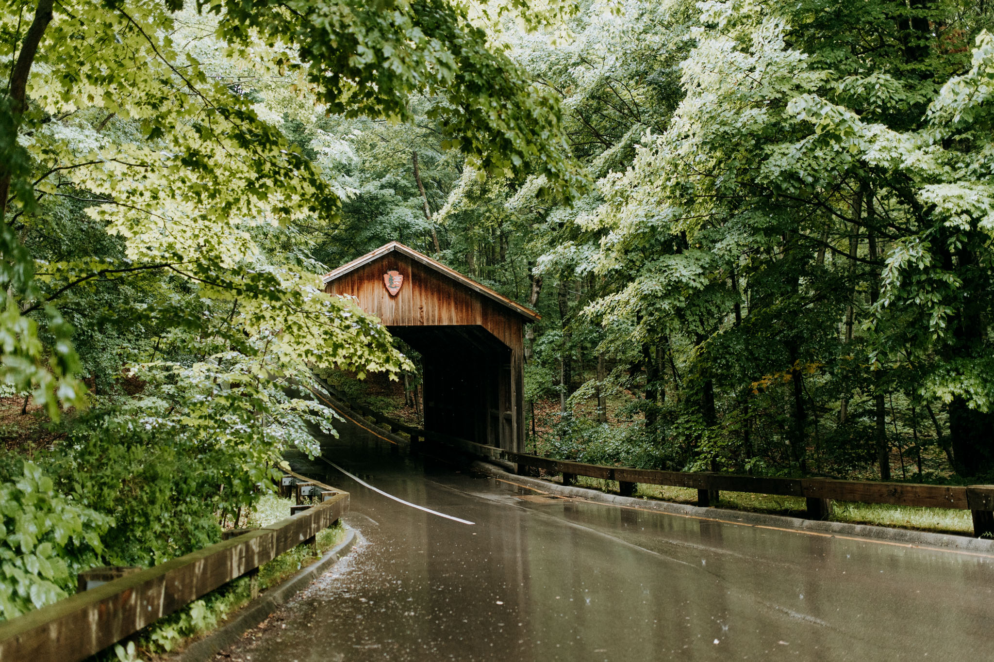Couple walking through forested section of Pierce Stocking Scenic Drive