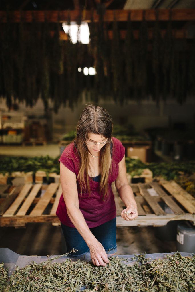 branding images-00032