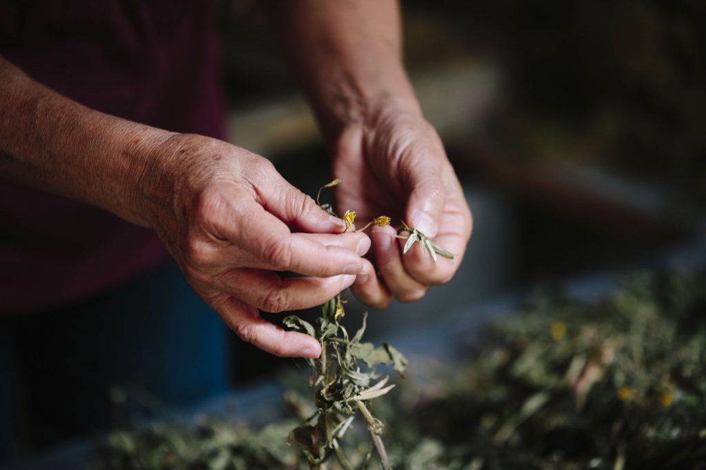 branding images-00033