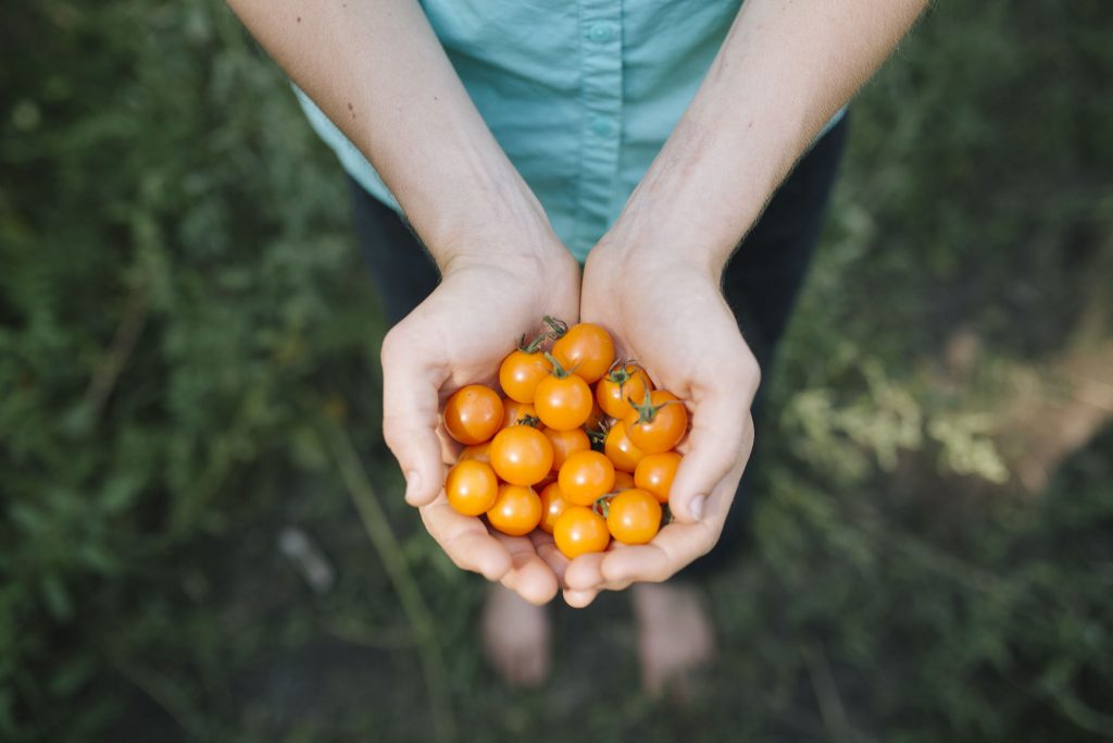 branding images-00046