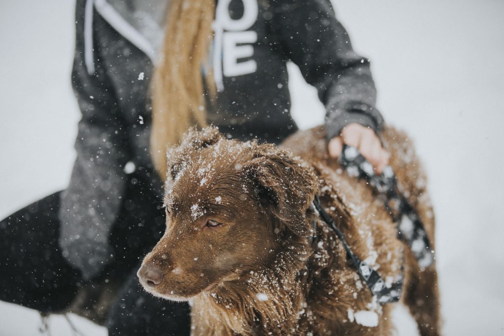 branding images-00049