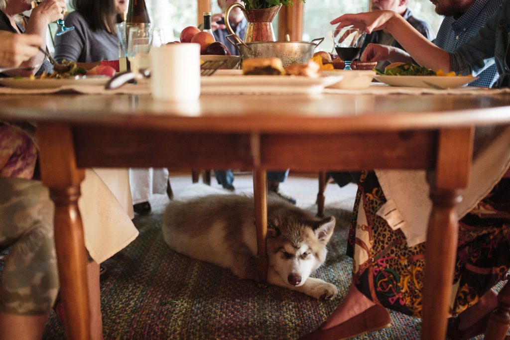 branding images-00081