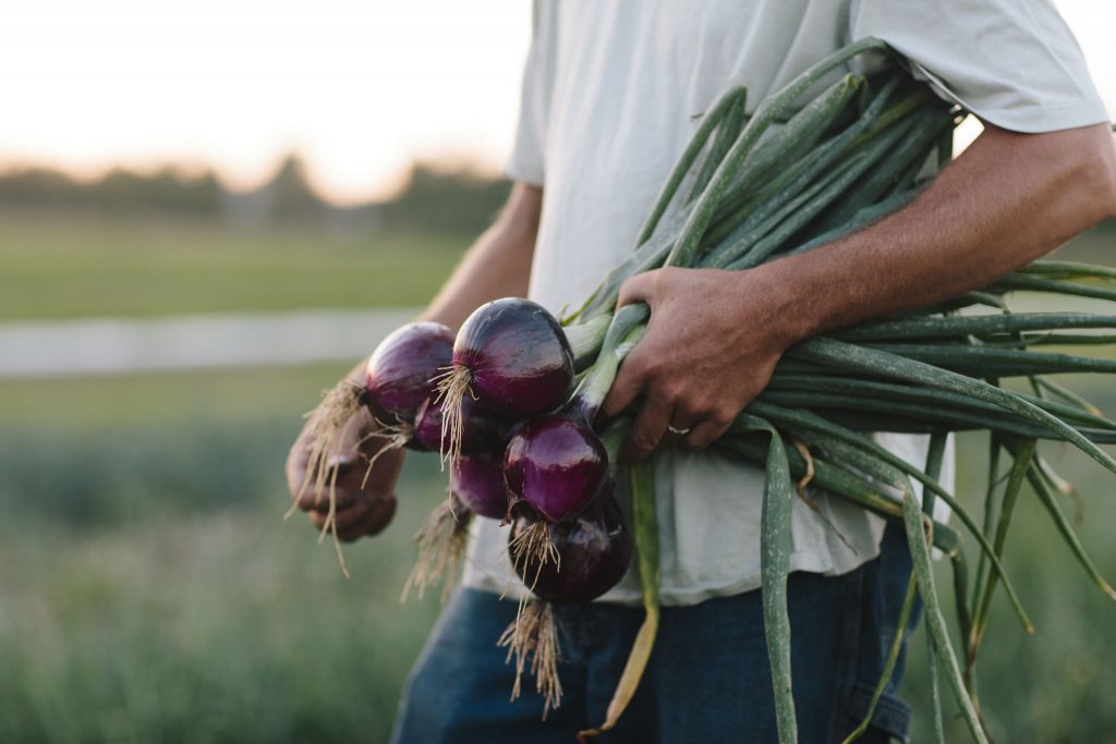 branding images-00083