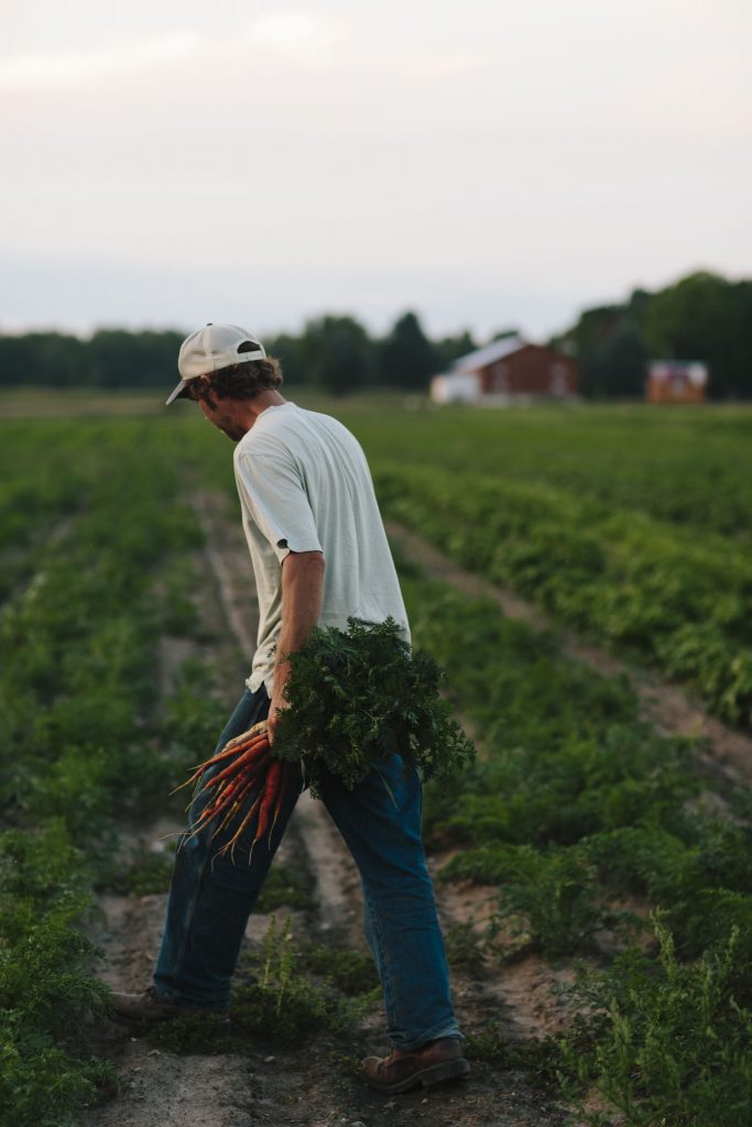 branding images-00085