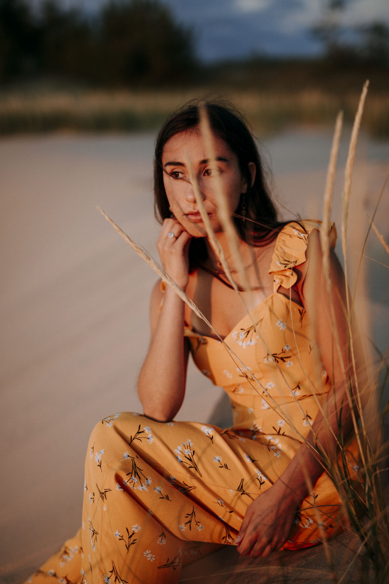 Golden hour light on pierce stocking scenic drive