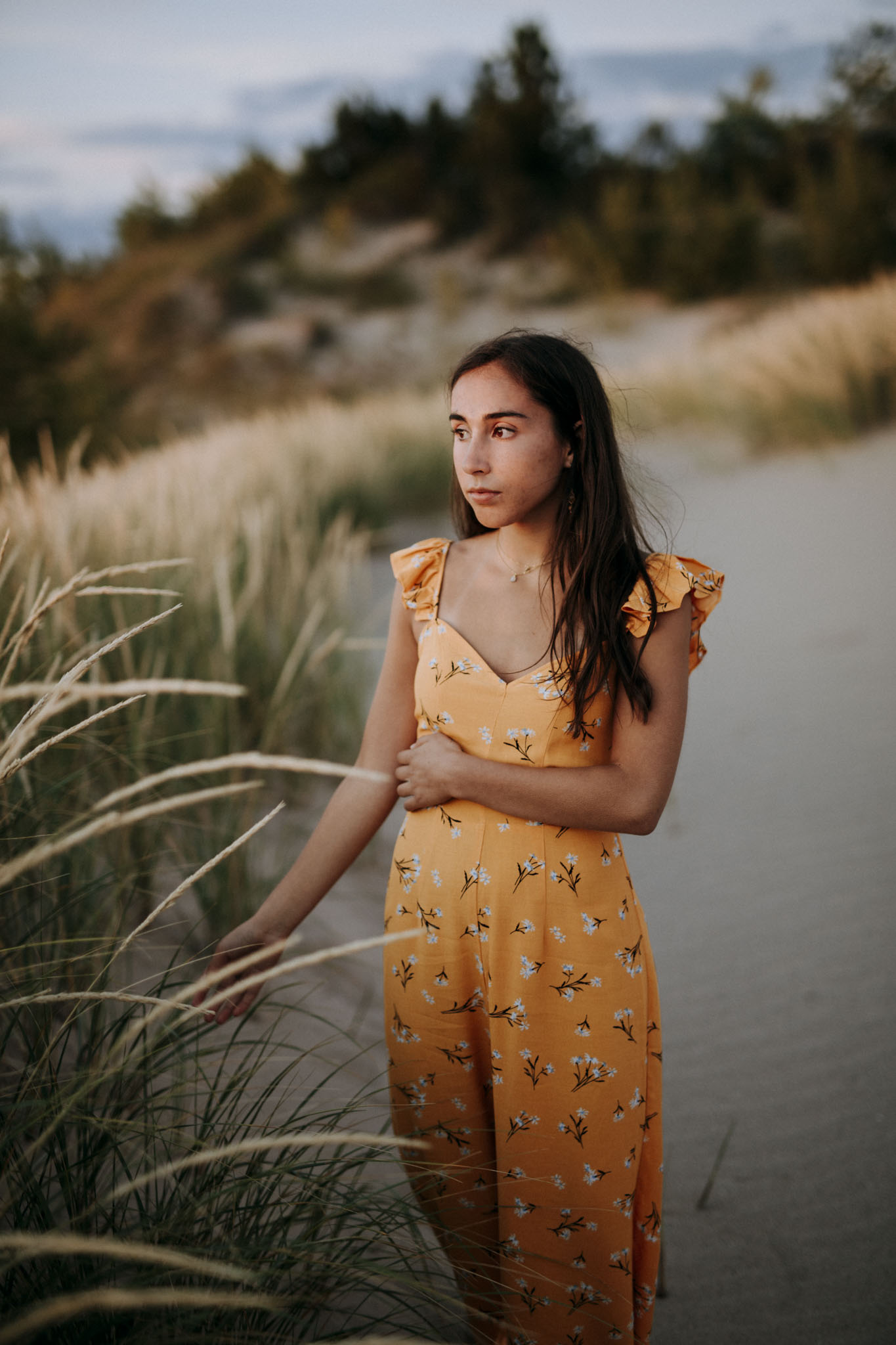 blue hour light on pierce stocking scenic drive