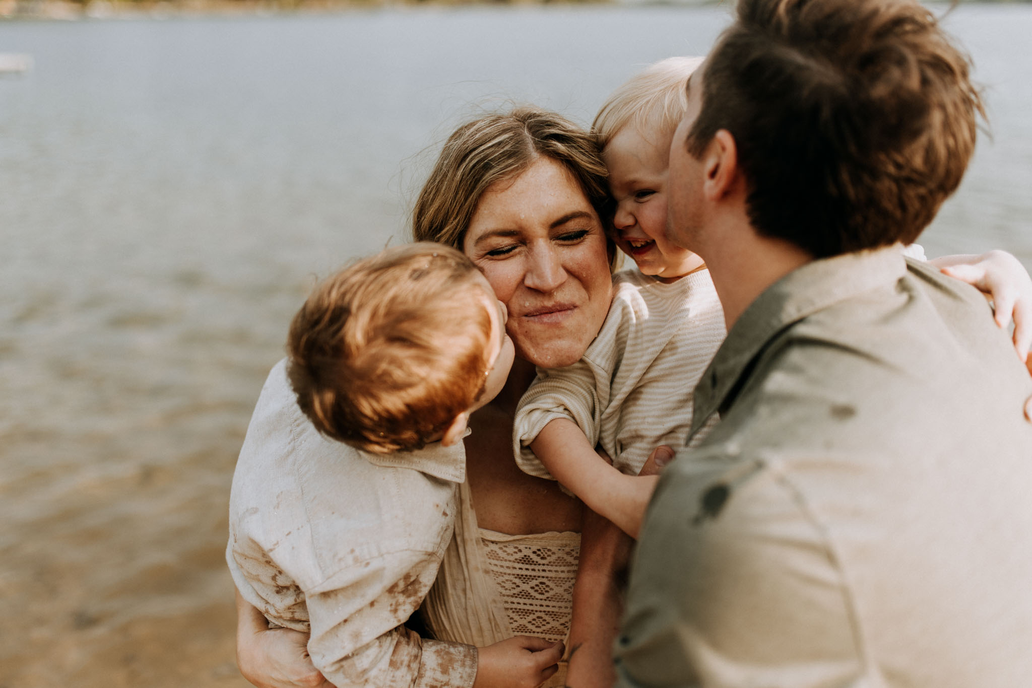 Swan Family Photographed on Traverse City Beach