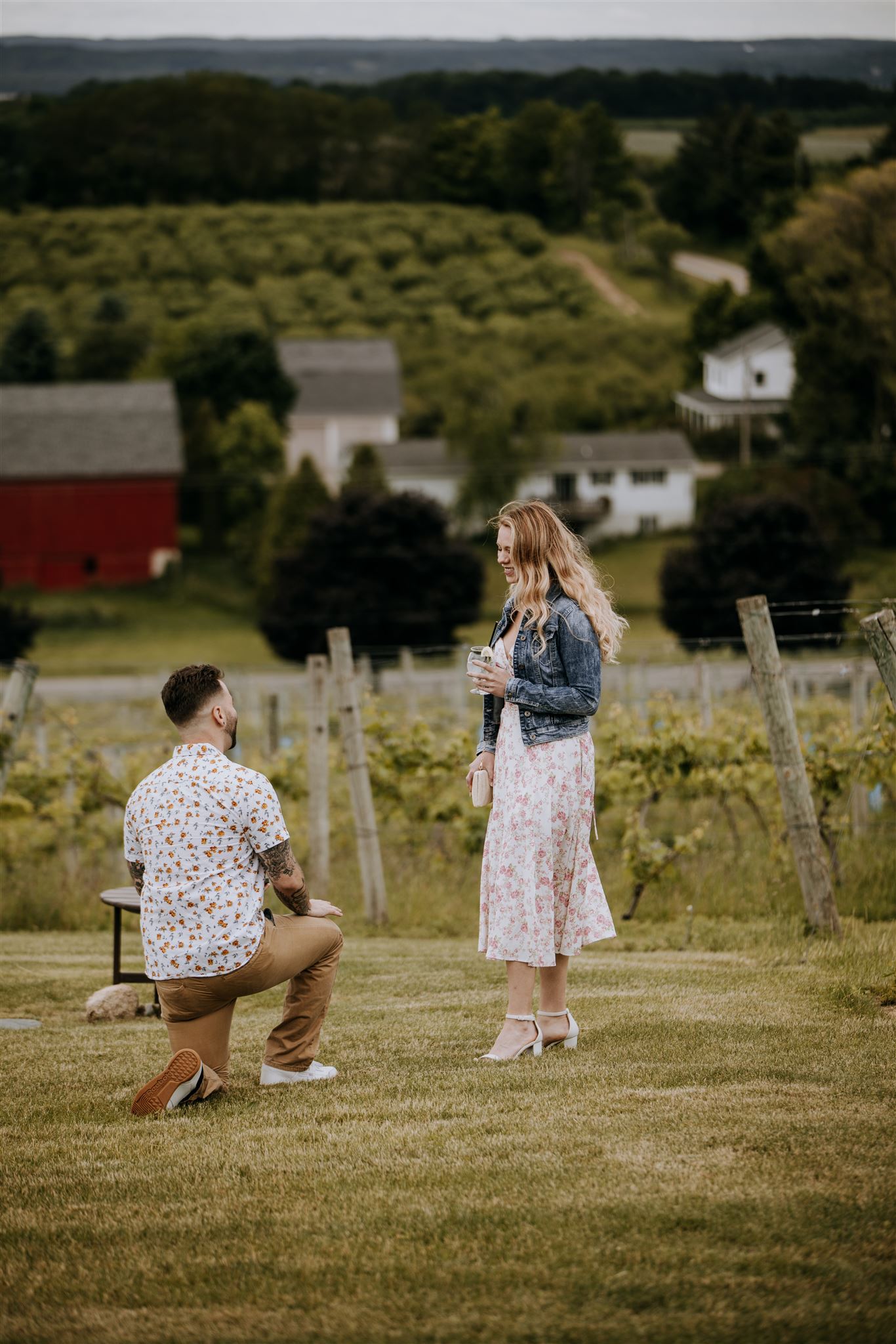Winery proposal in Northern Michigan