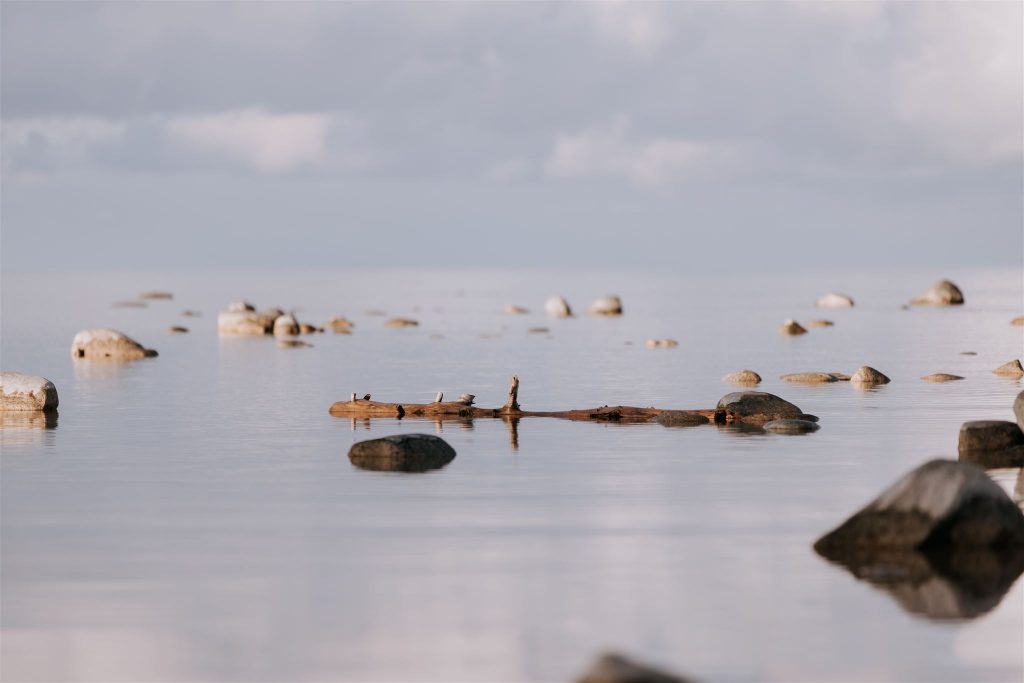 Mission Point Lighthouse Proposal - Traverse City Proposal Photographer