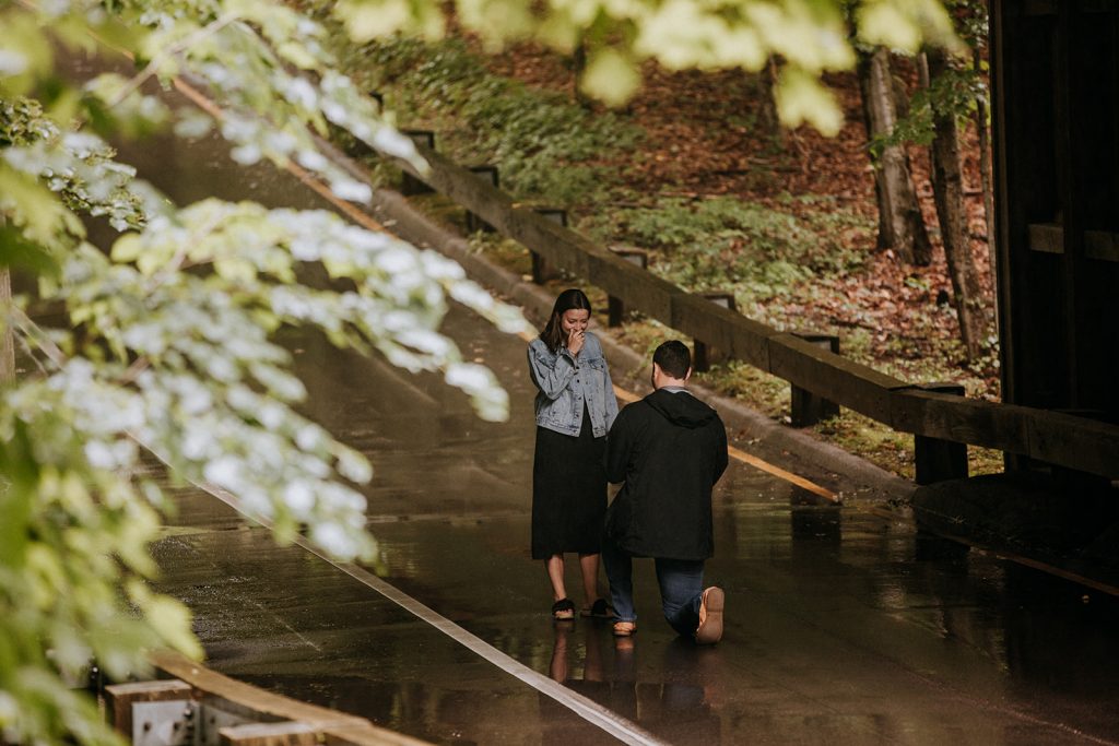 Pierce Stocking Scenic Drive Covered Bridge Proposal